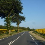 Driving through France