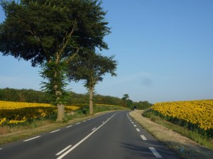 Driving through France